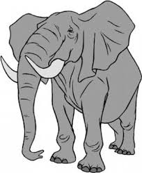 elefante.jpg