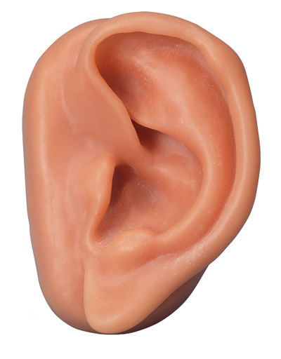 oreja.jpg