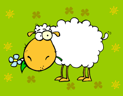 oveja.png